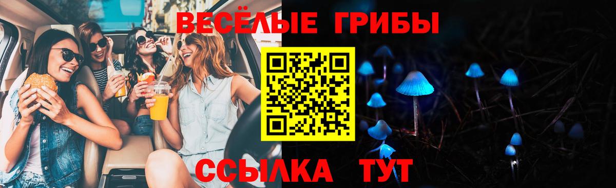 Галлюциногенные грибы Cubensis Череповец
